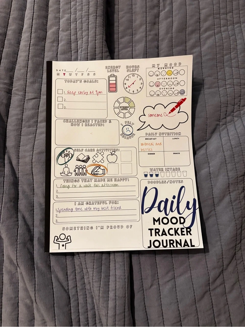 Daily Mood Tracker Journal